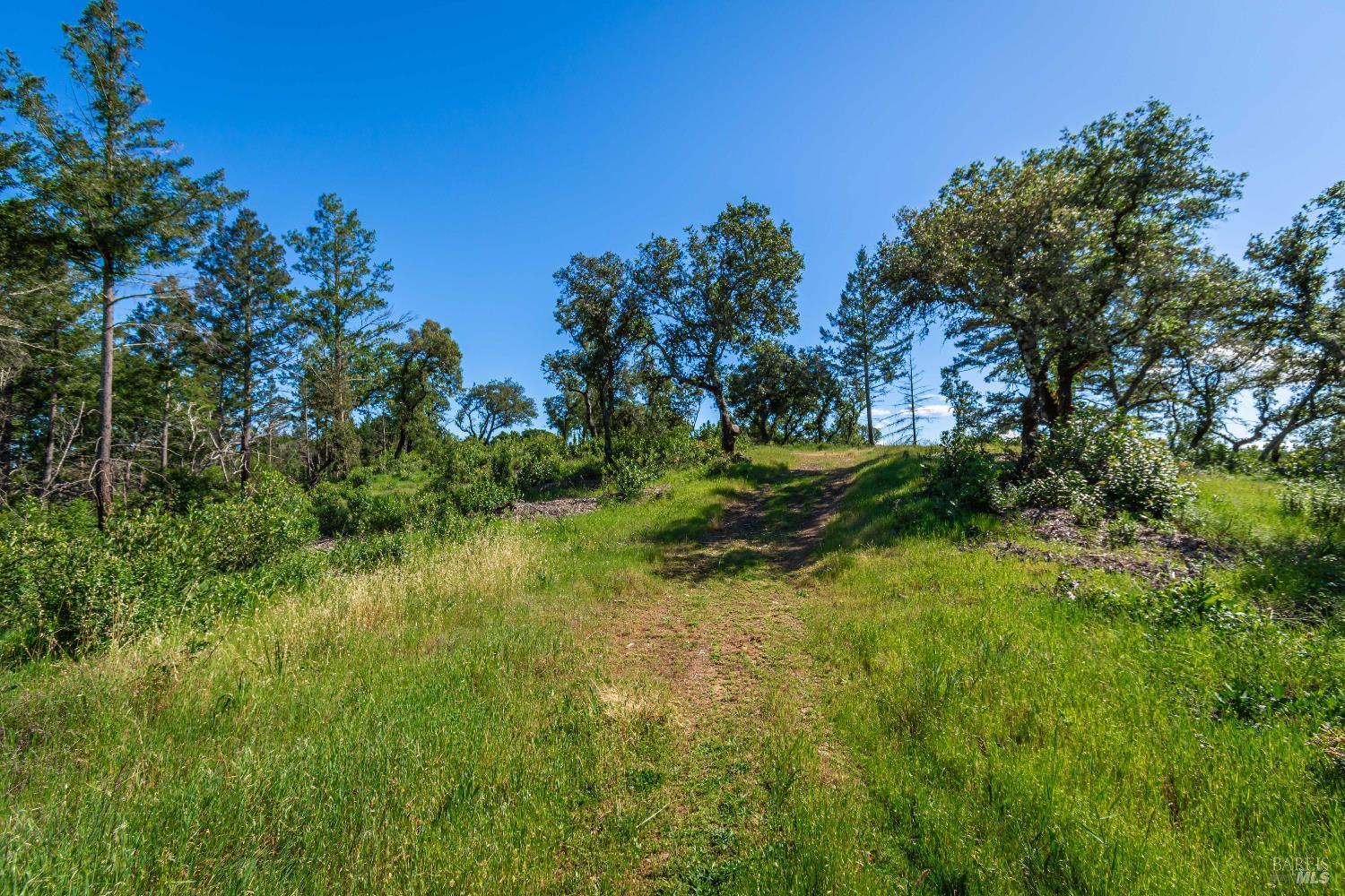 Detail Gallery Image 78 of 98 For 0 Dry Creek Rd, Napa,  CA 94558 - – Beds | – Baths