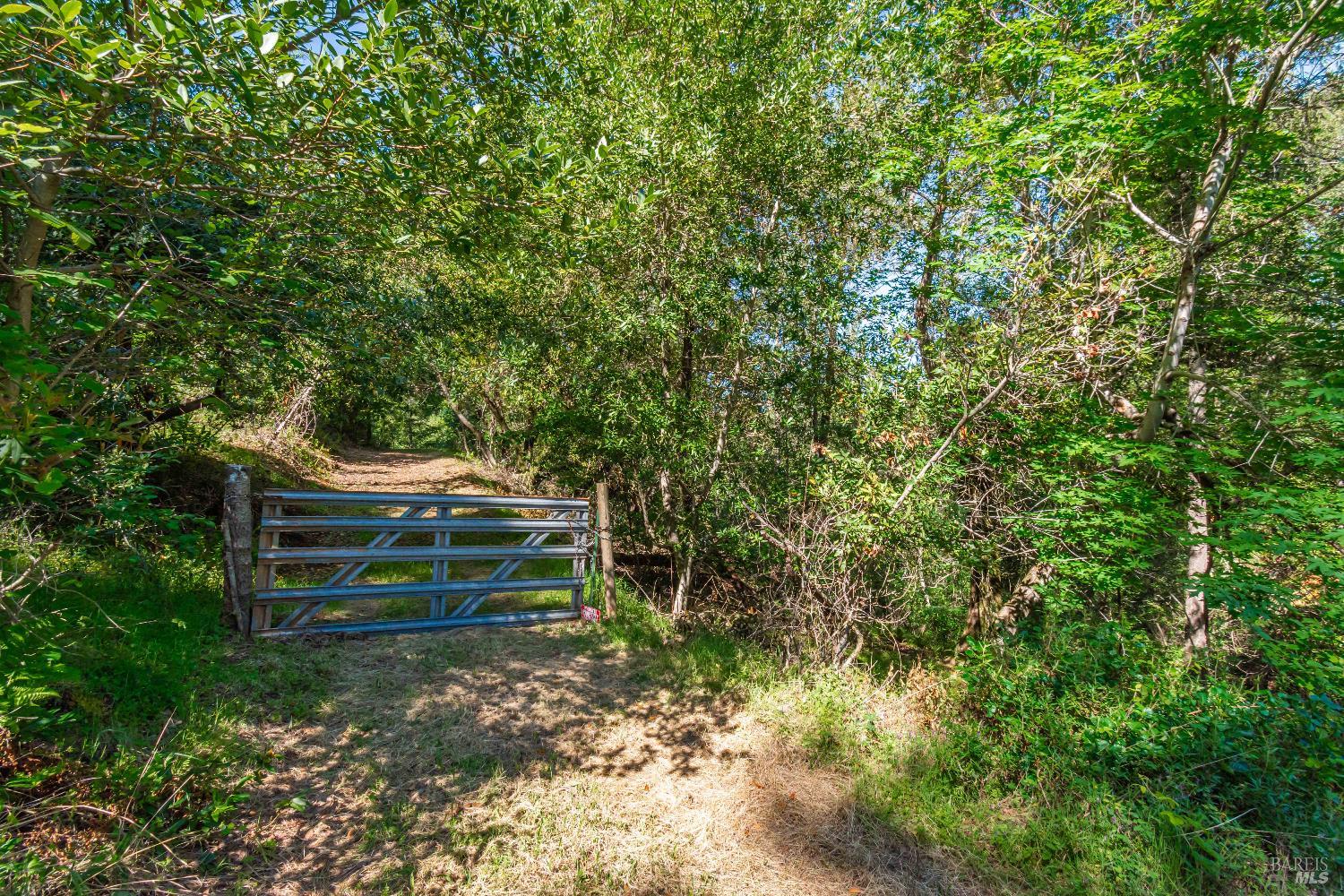 Detail Gallery Image 34 of 98 For 0 Dry Creek Rd, Napa,  CA 94558 - – Beds | – Baths