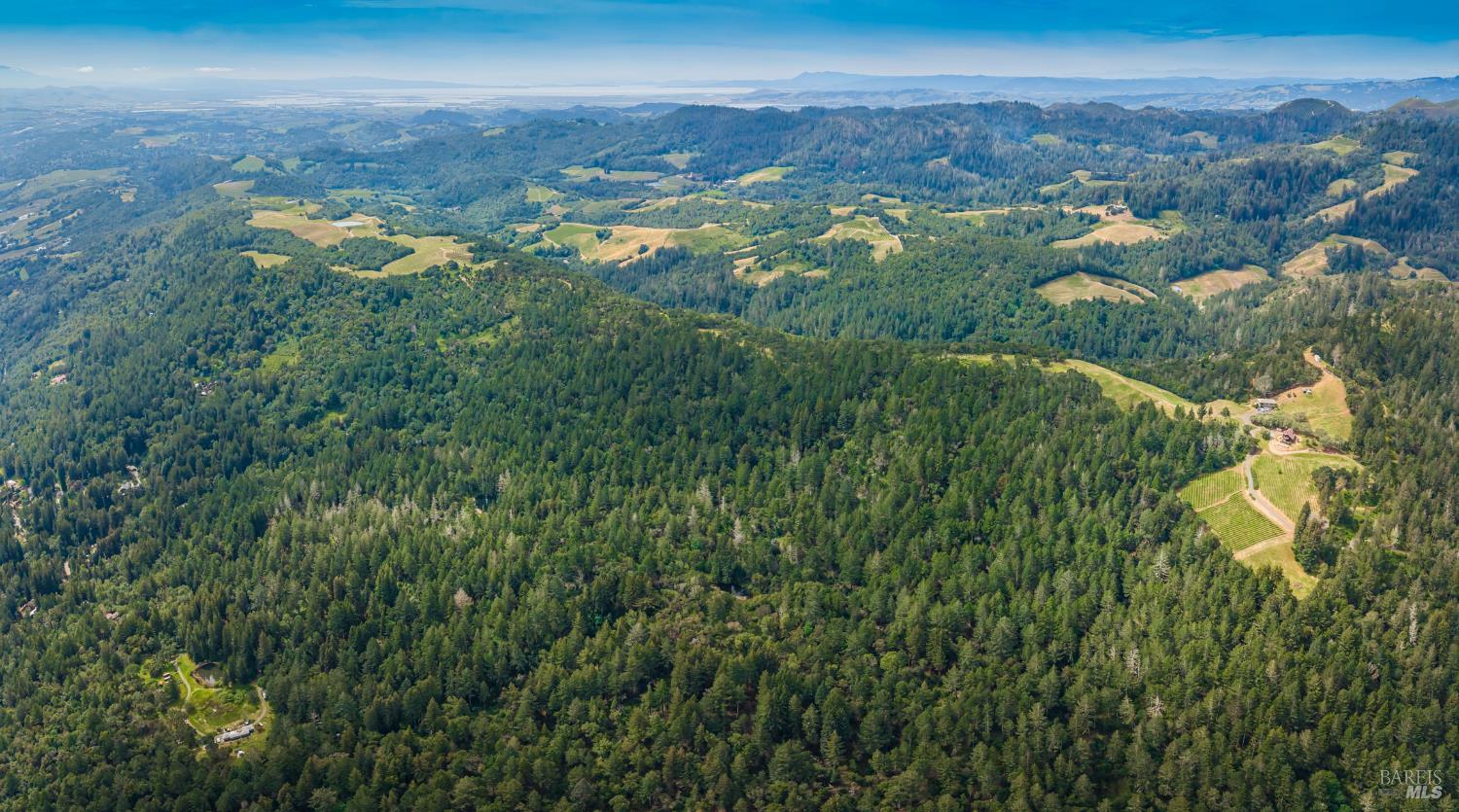 Detail Gallery Image 15 of 98 For 0 Dry Creek Rd, Napa,  CA 94558 - – Beds | – Baths