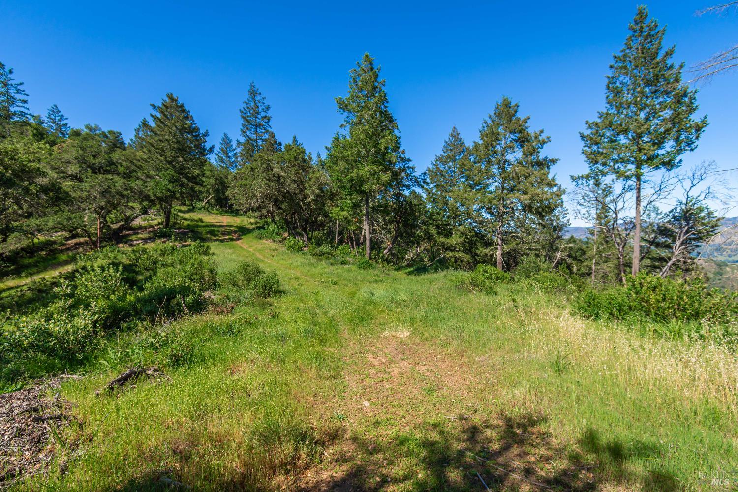 Detail Gallery Image 79 of 98 For 0 Dry Creek Rd, Napa,  CA 94558 - – Beds | – Baths