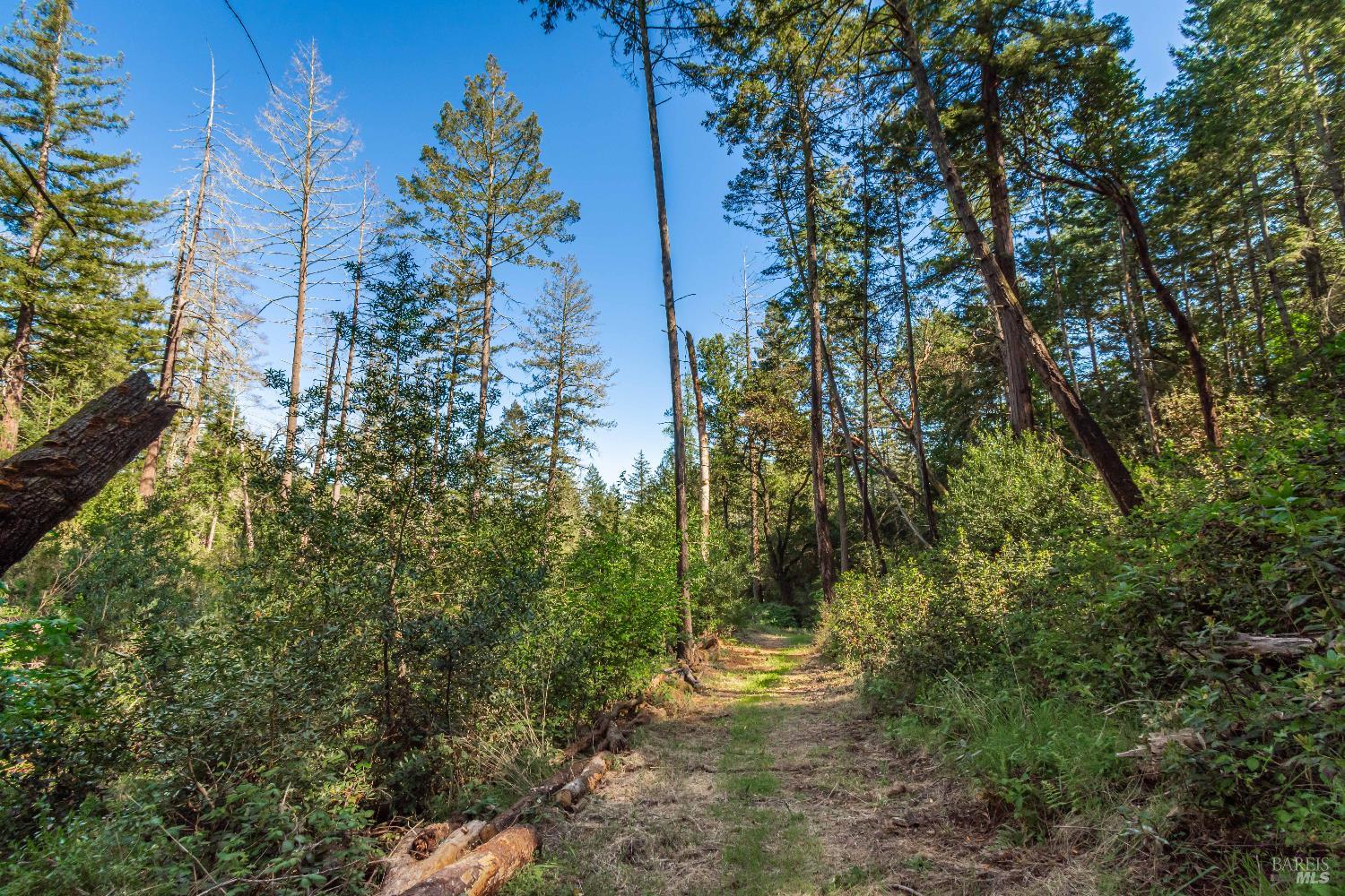 Detail Gallery Image 49 of 98 For 0 Dry Creek Rd, Napa,  CA 94558 - – Beds | – Baths