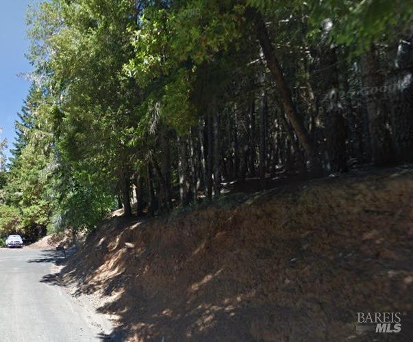 Detail Gallery Image 2 of 2 For 2478 Bear Pl, Willits,  CA 95490 - – Beds | – Baths