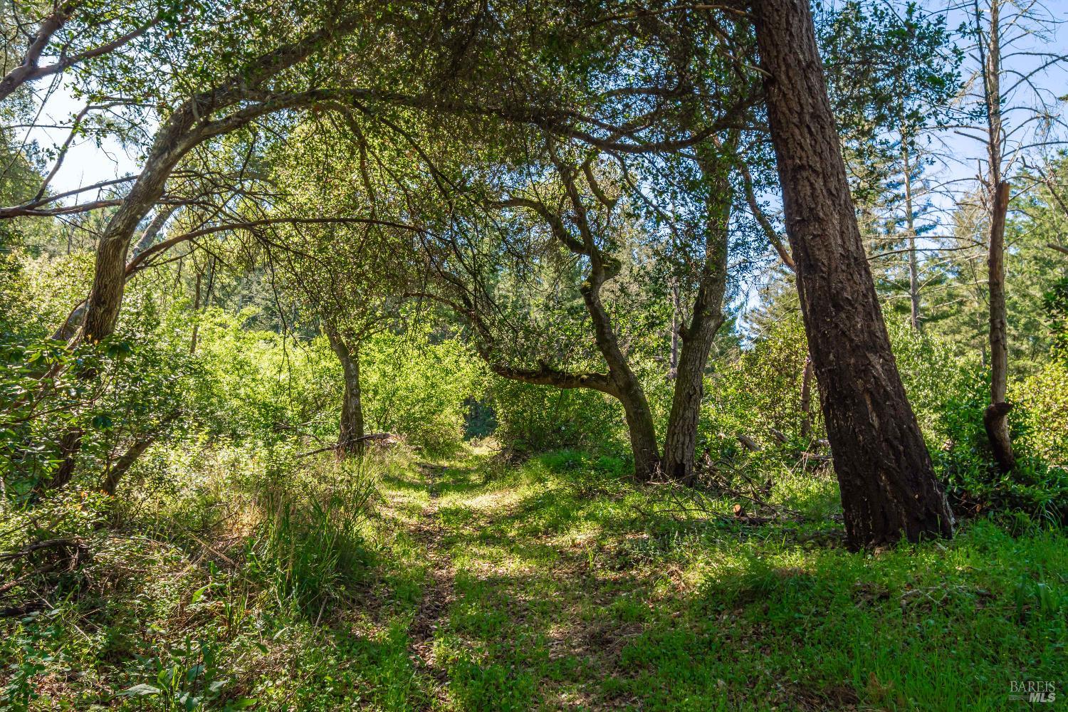 Detail Gallery Image 51 of 98 For 0 Dry Creek Rd, Napa,  CA 94558 - – Beds | – Baths