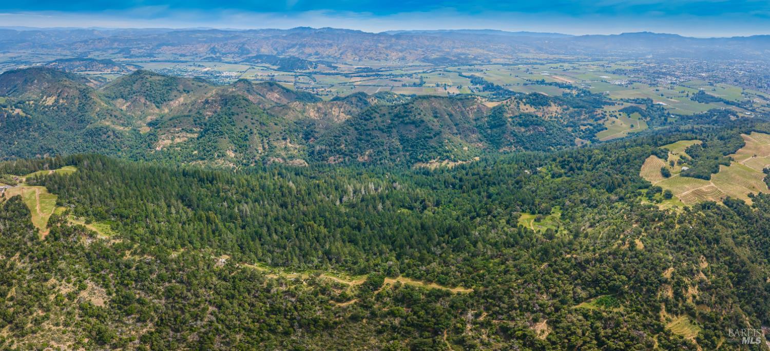 Detail Gallery Image 9 of 98 For 0 Dry Creek Rd, Napa,  CA 94558 - – Beds | – Baths