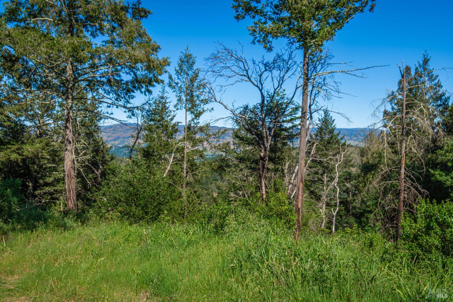 Detail Gallery Image 98 of 98 For 0 Dry Creek Rd, Napa,  CA 94558 - – Beds | – Baths