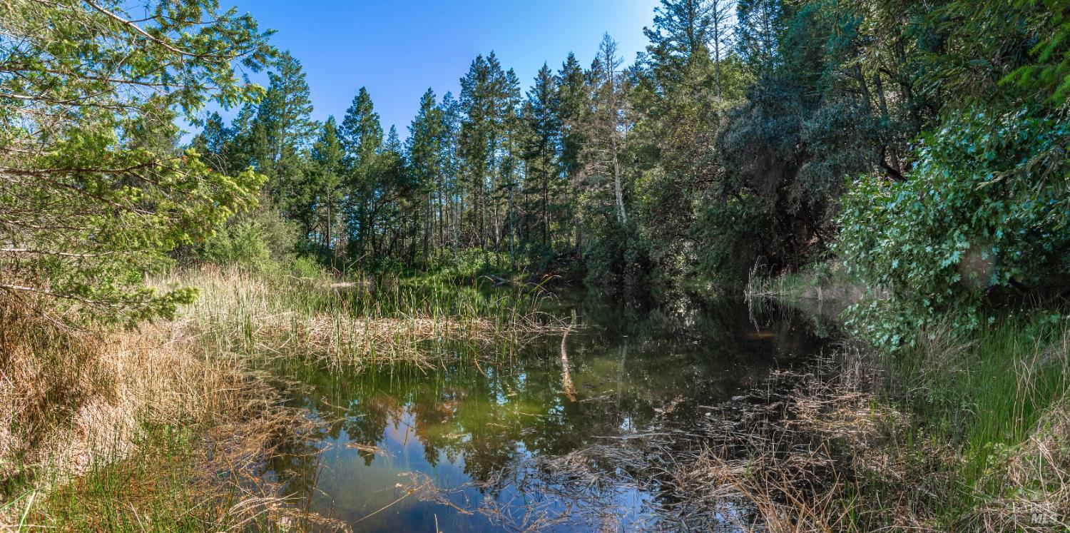 Detail Gallery Image 59 of 98 For 0 Dry Creek Rd, Napa,  CA 94558 - – Beds | – Baths
