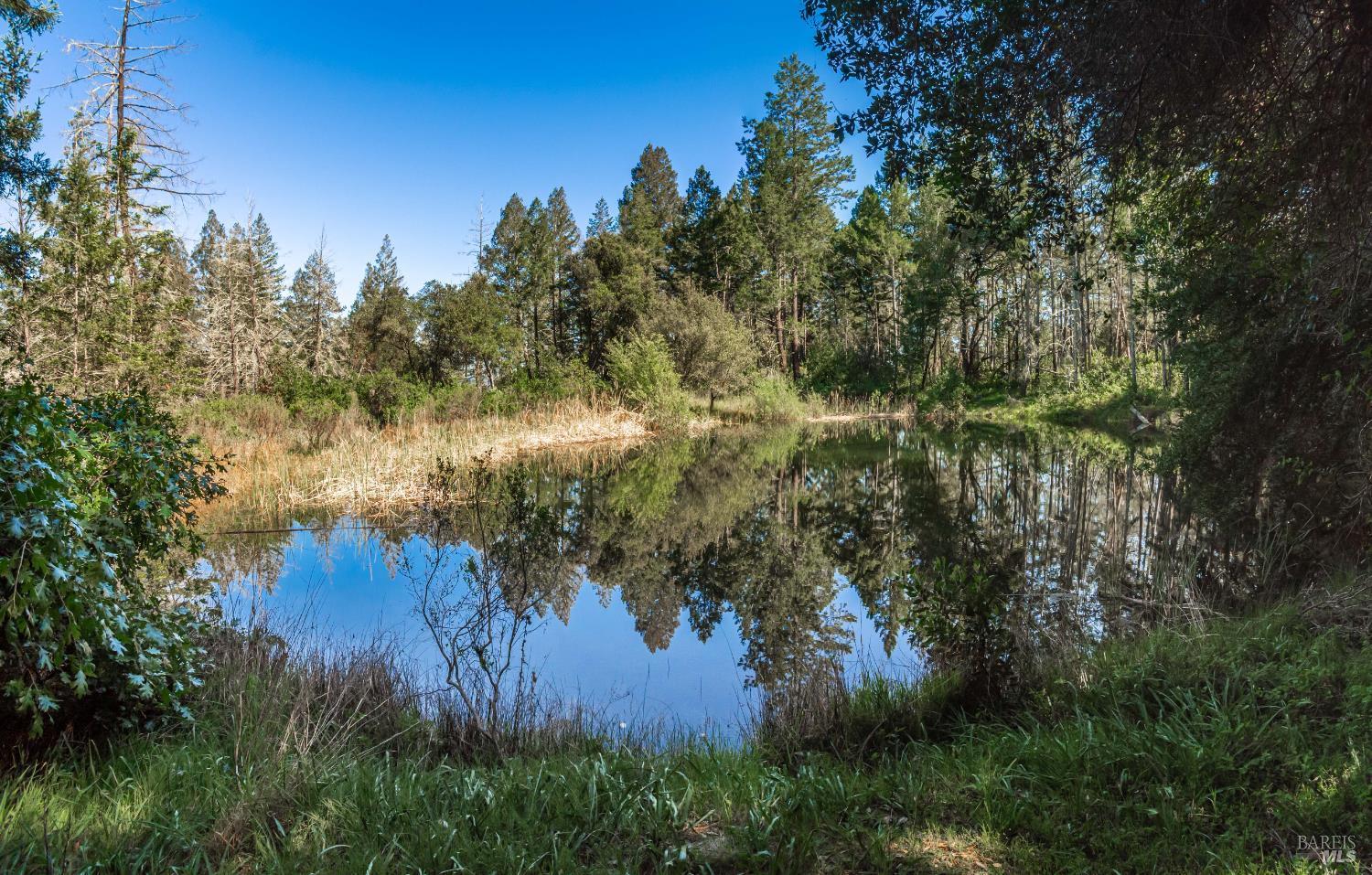 Detail Gallery Image 62 of 98 For 0 Dry Creek Rd, Napa,  CA 94558 - – Beds | – Baths