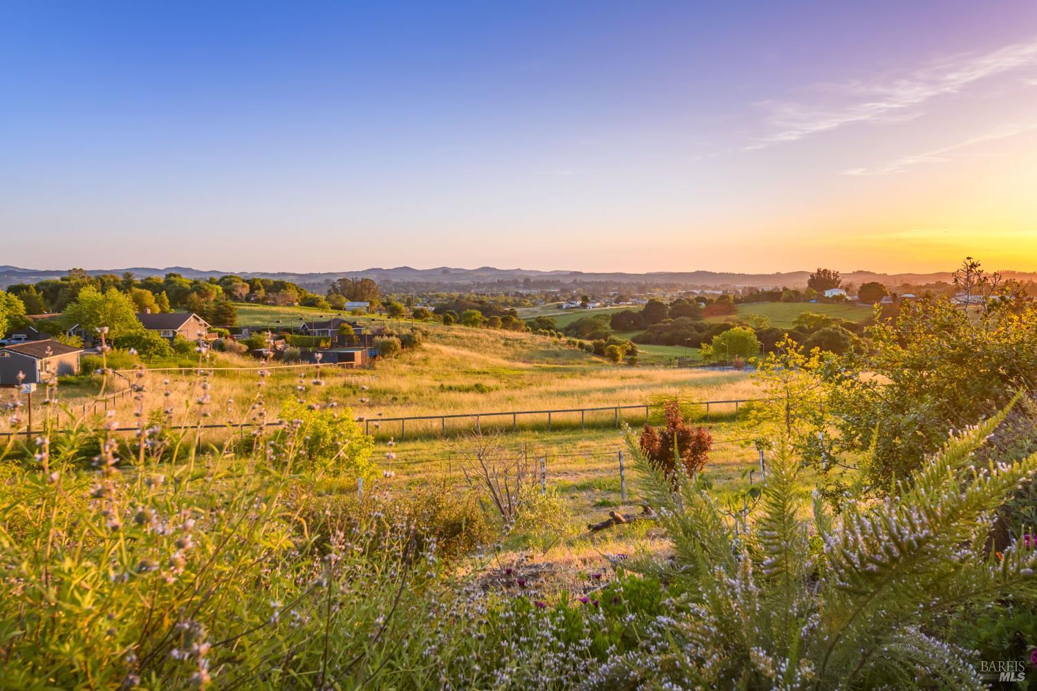 100 Frances Way photo 3