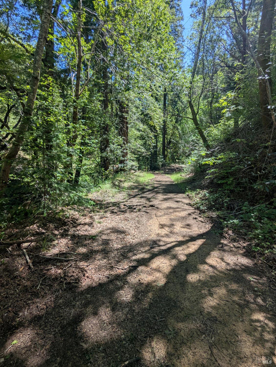 Detail Gallery Image 7 of 21 For 0 Skaggs Springs Rd, Geyserville,  CA 95441 - – Beds | – Baths