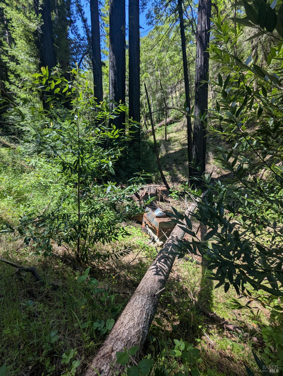 Detail Gallery Image 3 of 21 For 0 Skaggs Springs Rd, Geyserville,  CA 95441 - – Beds | – Baths