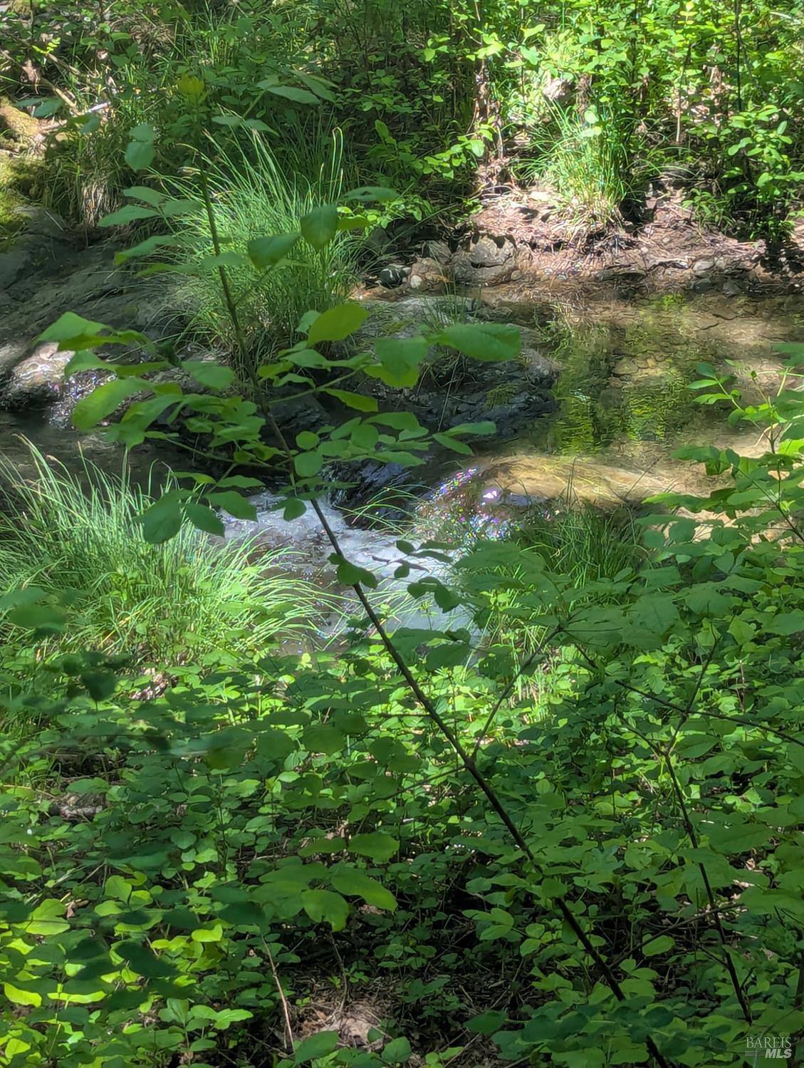 Detail Gallery Image 20 of 21 For 0 Skaggs Springs Rd, Geyserville,  CA 95441 - – Beds | – Baths