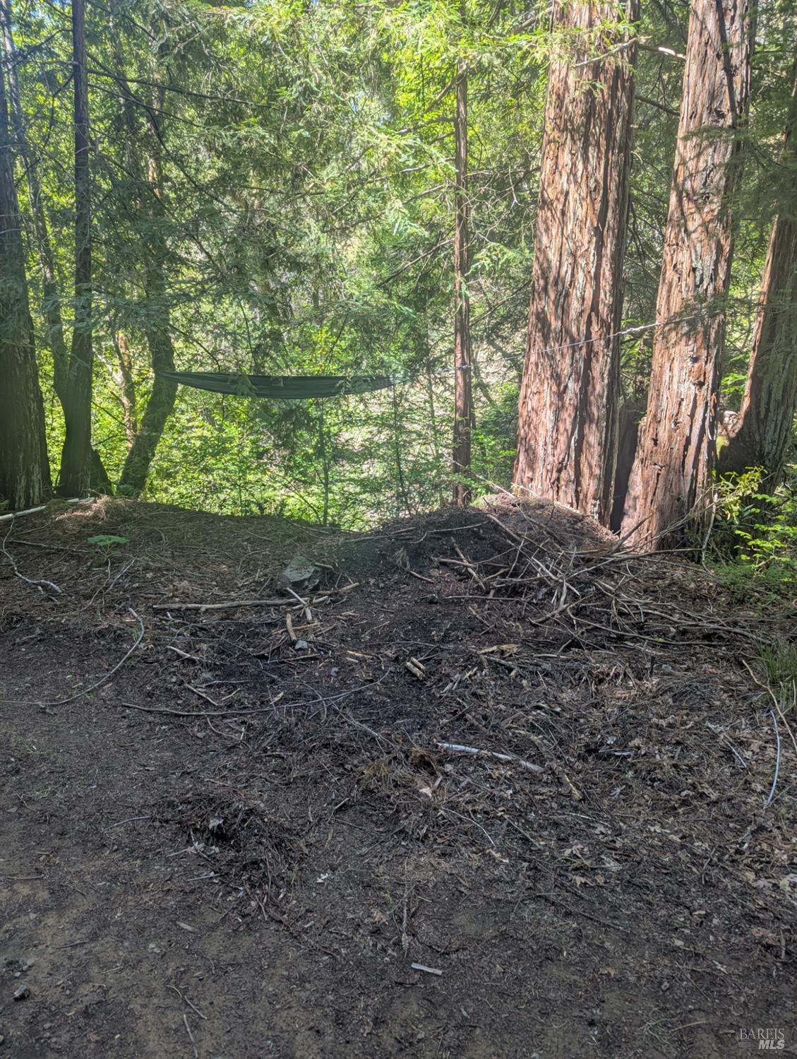 Detail Gallery Image 16 of 21 For 0 Skaggs Springs Rd, Geyserville,  CA 95441 - – Beds | – Baths