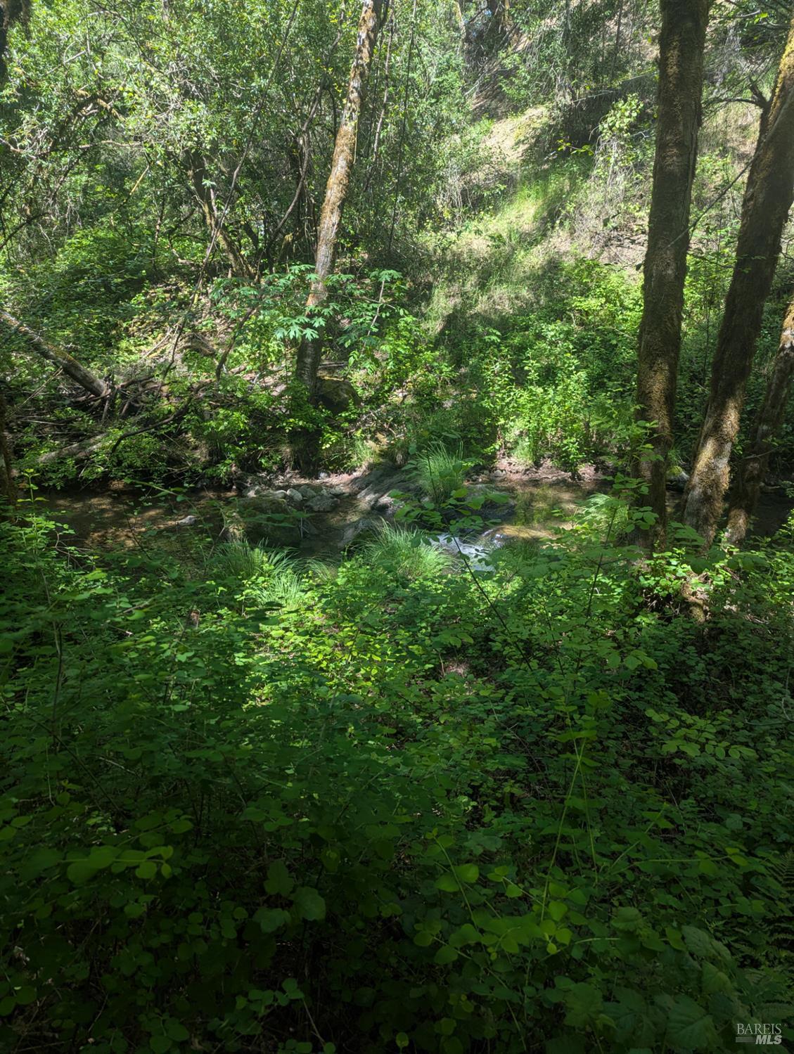 Detail Gallery Image 19 of 21 For 0 Skaggs Springs Rd, Geyserville,  CA 95441 - – Beds | – Baths