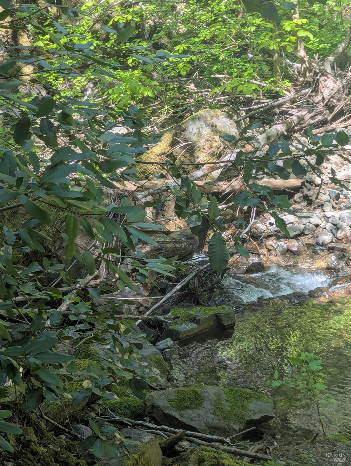 Detail Gallery Image 15 of 21 For 0 Skaggs Springs Rd, Geyserville,  CA 95441 - – Beds | – Baths