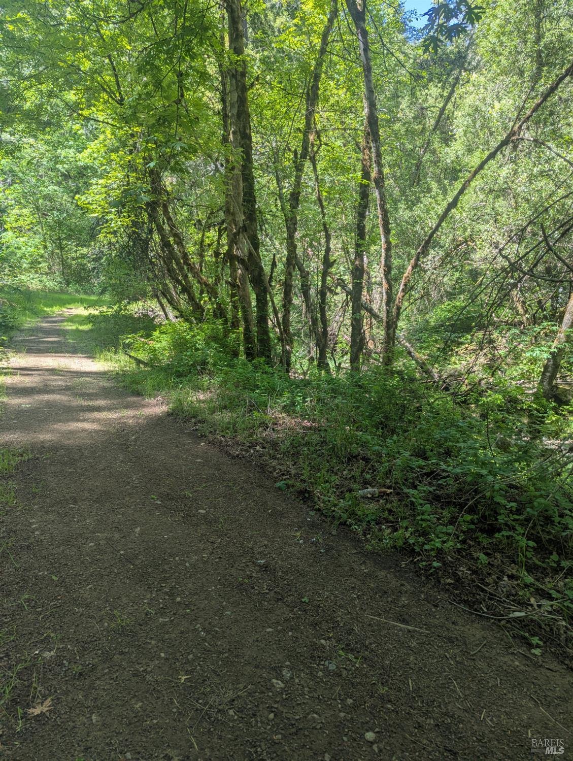 Detail Gallery Image 17 of 21 For 0 Skaggs Springs Rd, Geyserville,  CA 95441 - – Beds | – Baths