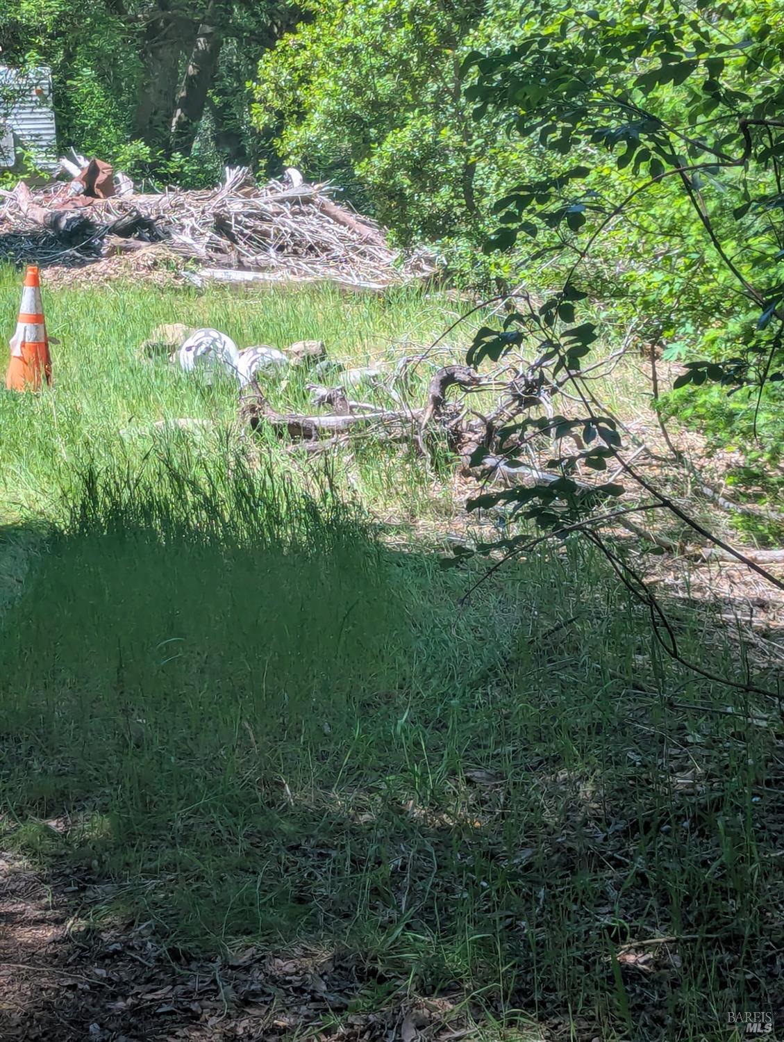 Detail Gallery Image 12 of 21 For 0 Skaggs Springs Rd, Geyserville,  CA 95441 - – Beds | – Baths