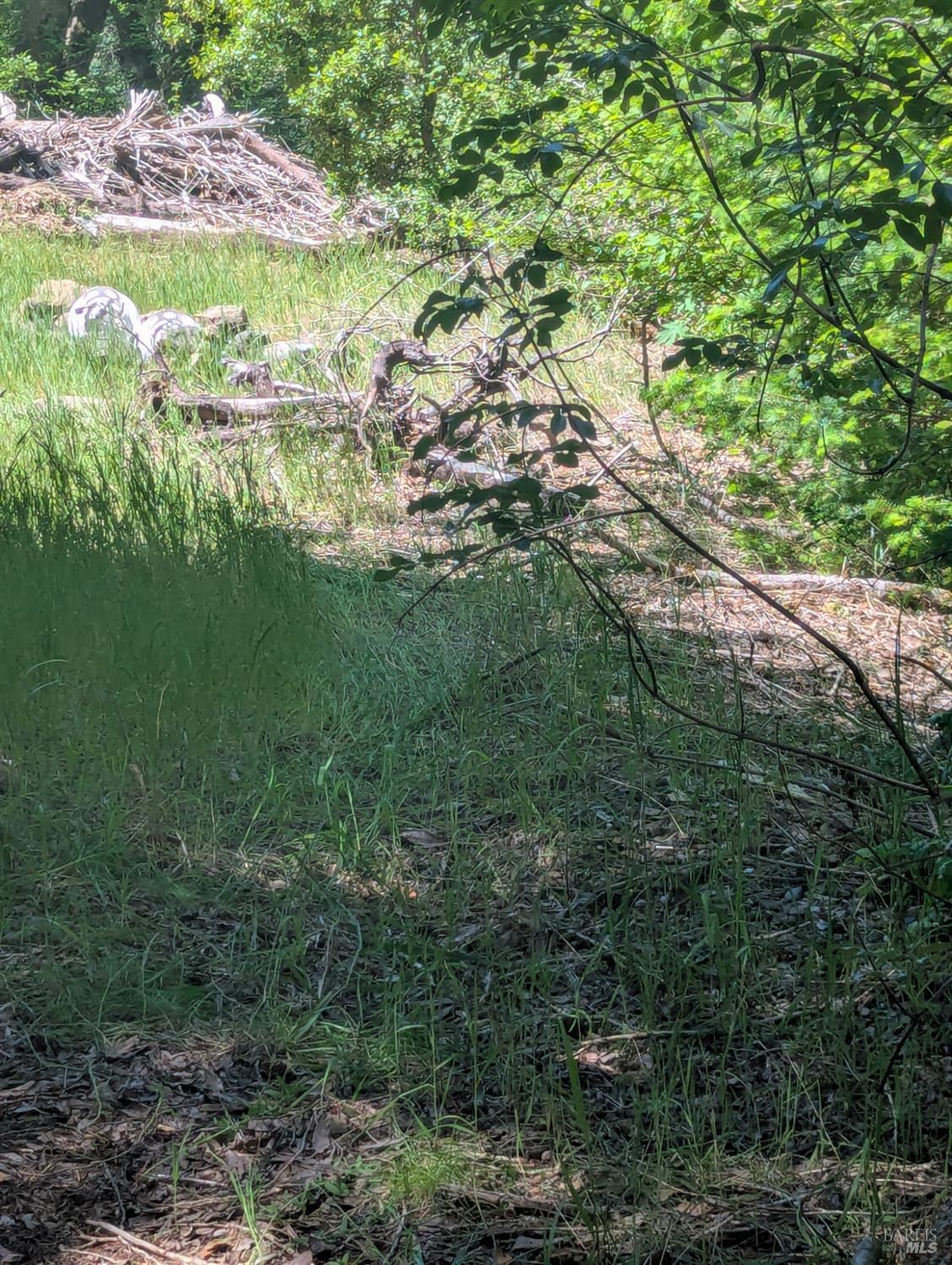 Detail Gallery Image 13 of 21 For 0 Skaggs Springs Rd, Geyserville,  CA 95441 - – Beds | – Baths