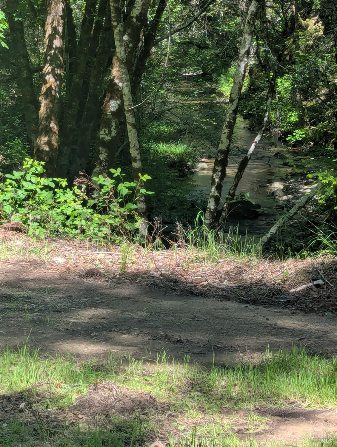 Detail Gallery Image 2 of 21 For 0 Skaggs Springs Rd, Geyserville,  CA 95441 - – Beds | – Baths