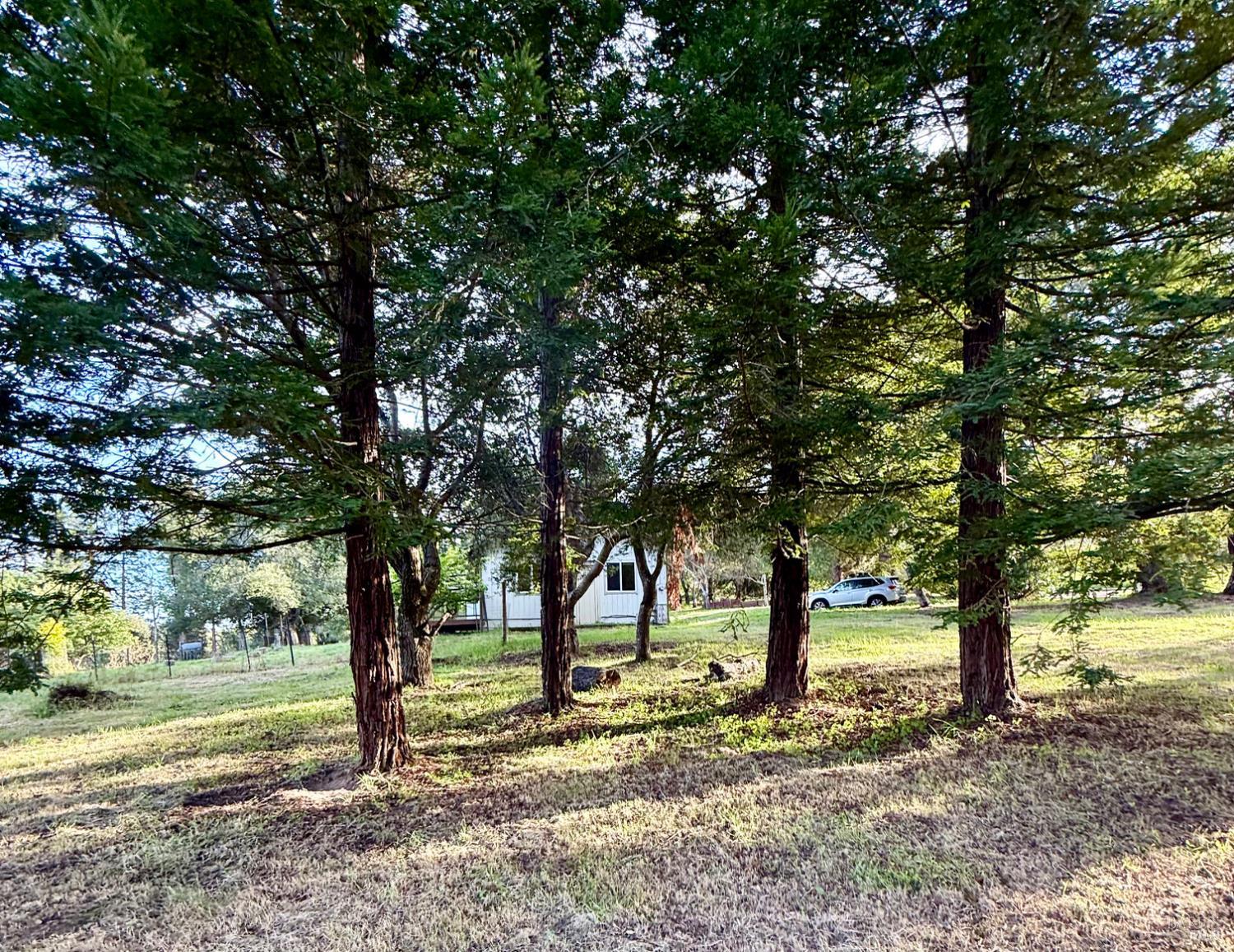 Detail Gallery Image 35 of 55 For 3477 Thorn Rd, Sebastopol,  CA 95472 - 3 Beds | 1 Baths