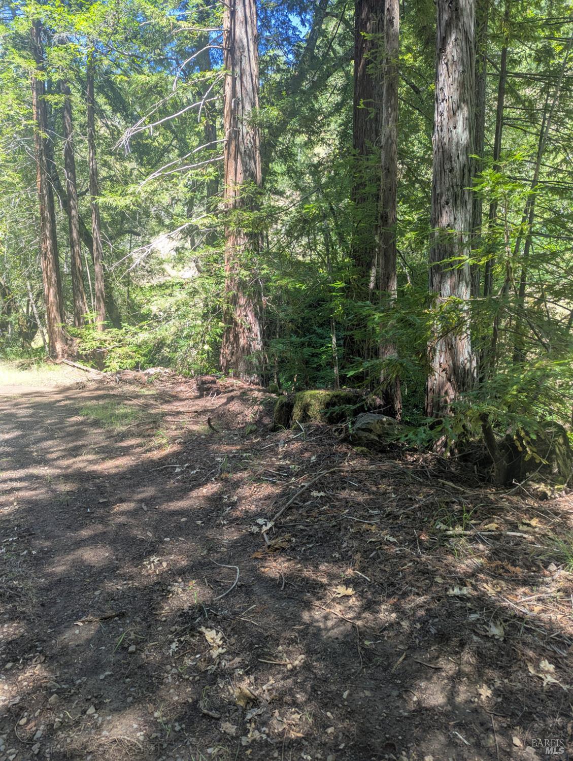 Detail Gallery Image 10 of 21 For 0 Skaggs Springs Rd, Geyserville,  CA 95441 - – Beds | – Baths