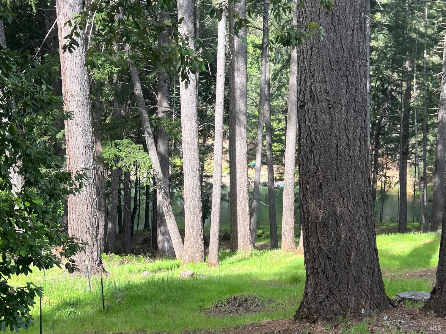 Detail Gallery Image 2 of 42 For 4000 Ridgewood Rd, Willits,  CA 95490 - 2 Beds | 2 Baths