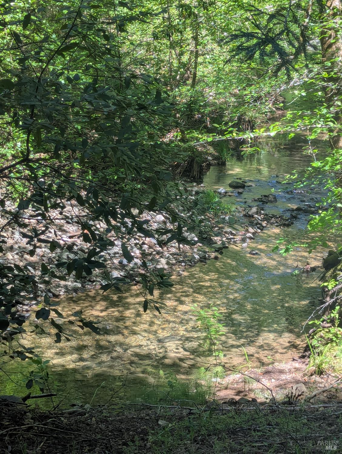 Detail Gallery Image 14 of 21 For 0 Skaggs Springs Rd, Geyserville,  CA 95441 - – Beds | – Baths