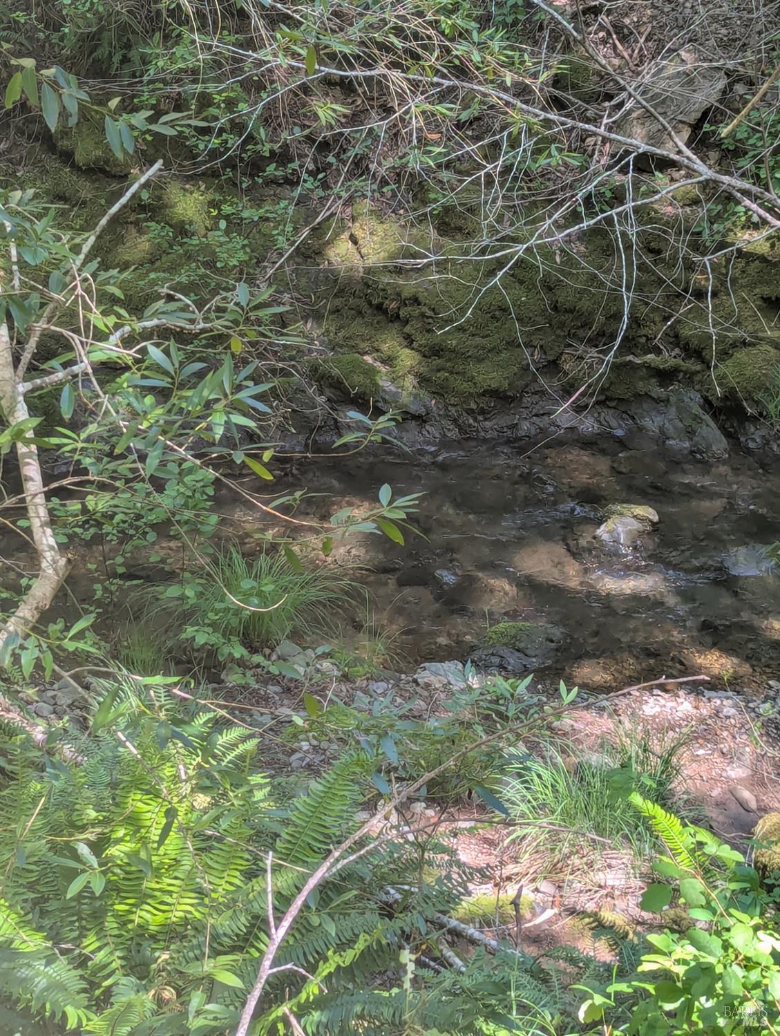 Detail Gallery Image 11 of 21 For 0 Skaggs Springs Rd, Geyserville,  CA 95441 - – Beds | – Baths