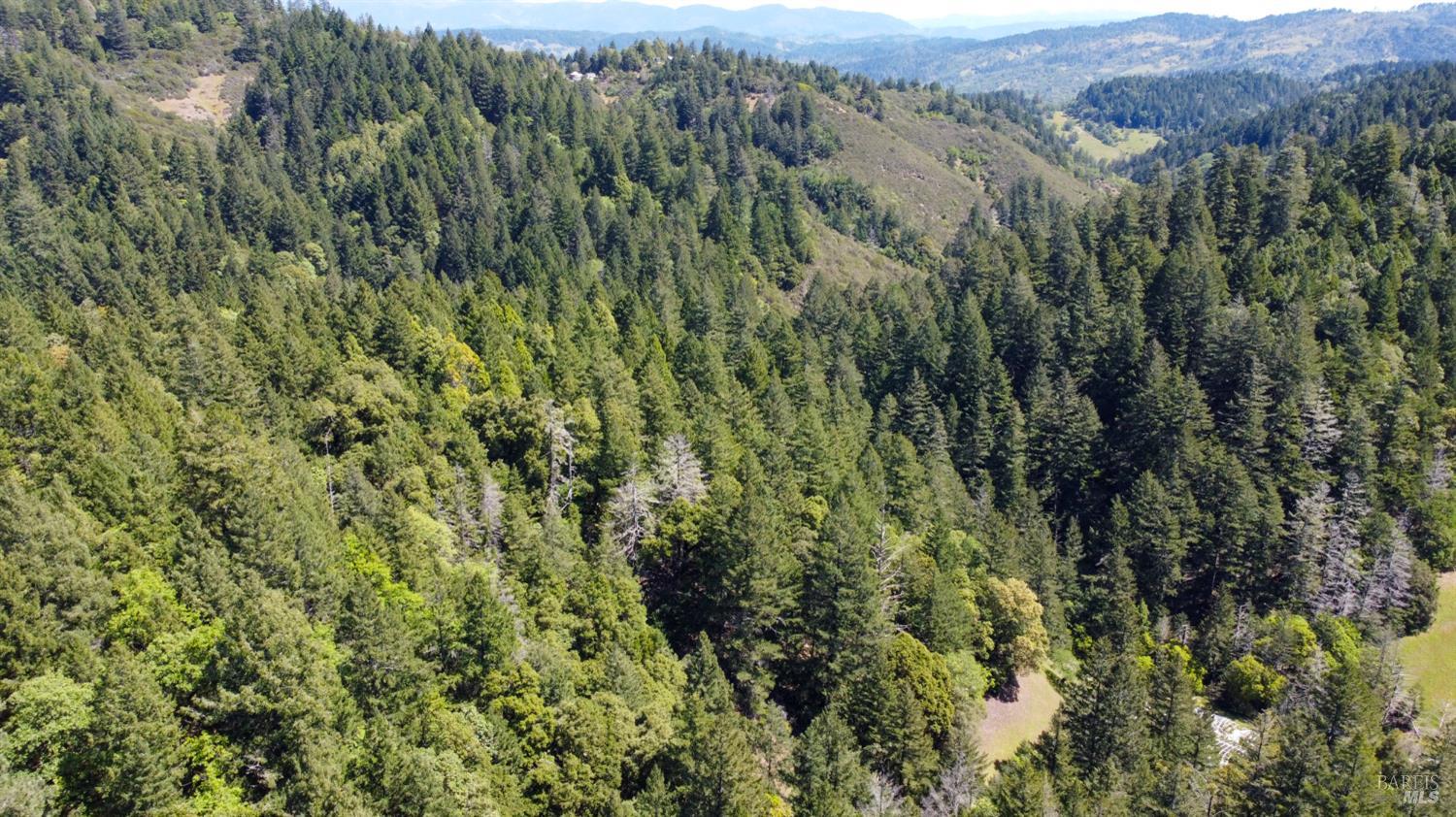 Detail Gallery Image 10 of 12 For 3730 Blackhawk Dr, Willits,  CA 95490 - – Beds | – Baths