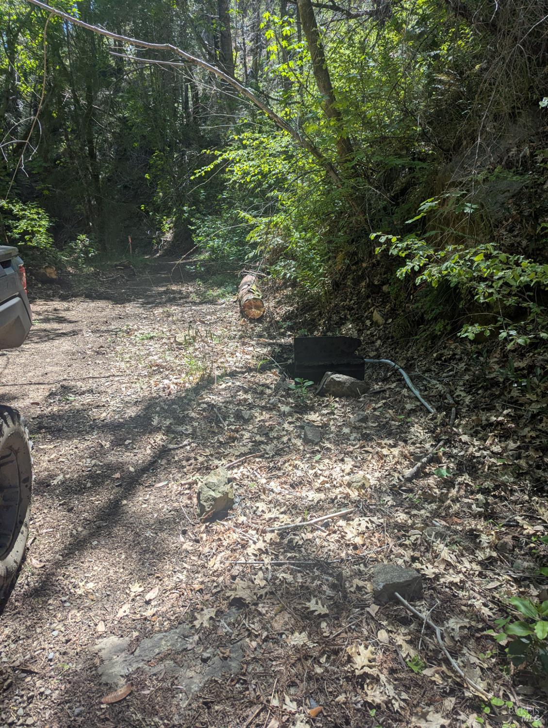 Detail Gallery Image 8 of 21 For 0 Skaggs Springs Rd, Geyserville,  CA 95441 - – Beds | – Baths