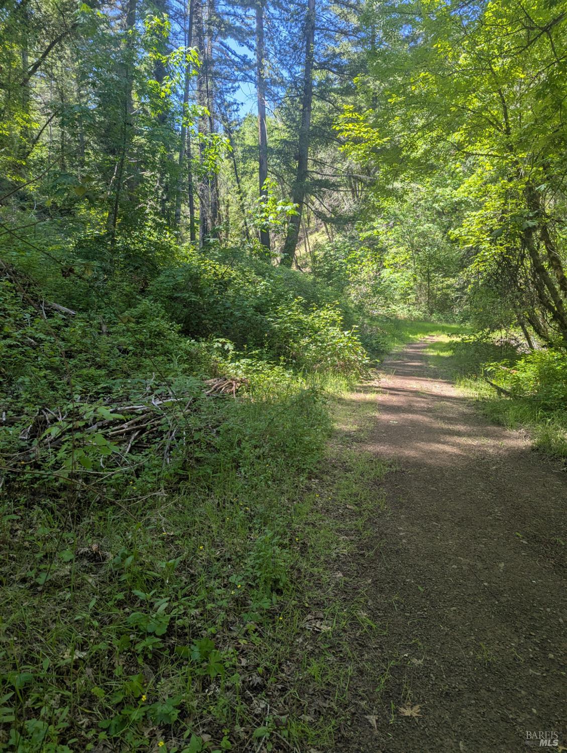 Detail Gallery Image 18 of 21 For 0 Skaggs Springs Rd, Geyserville,  CA 95441 - – Beds | – Baths