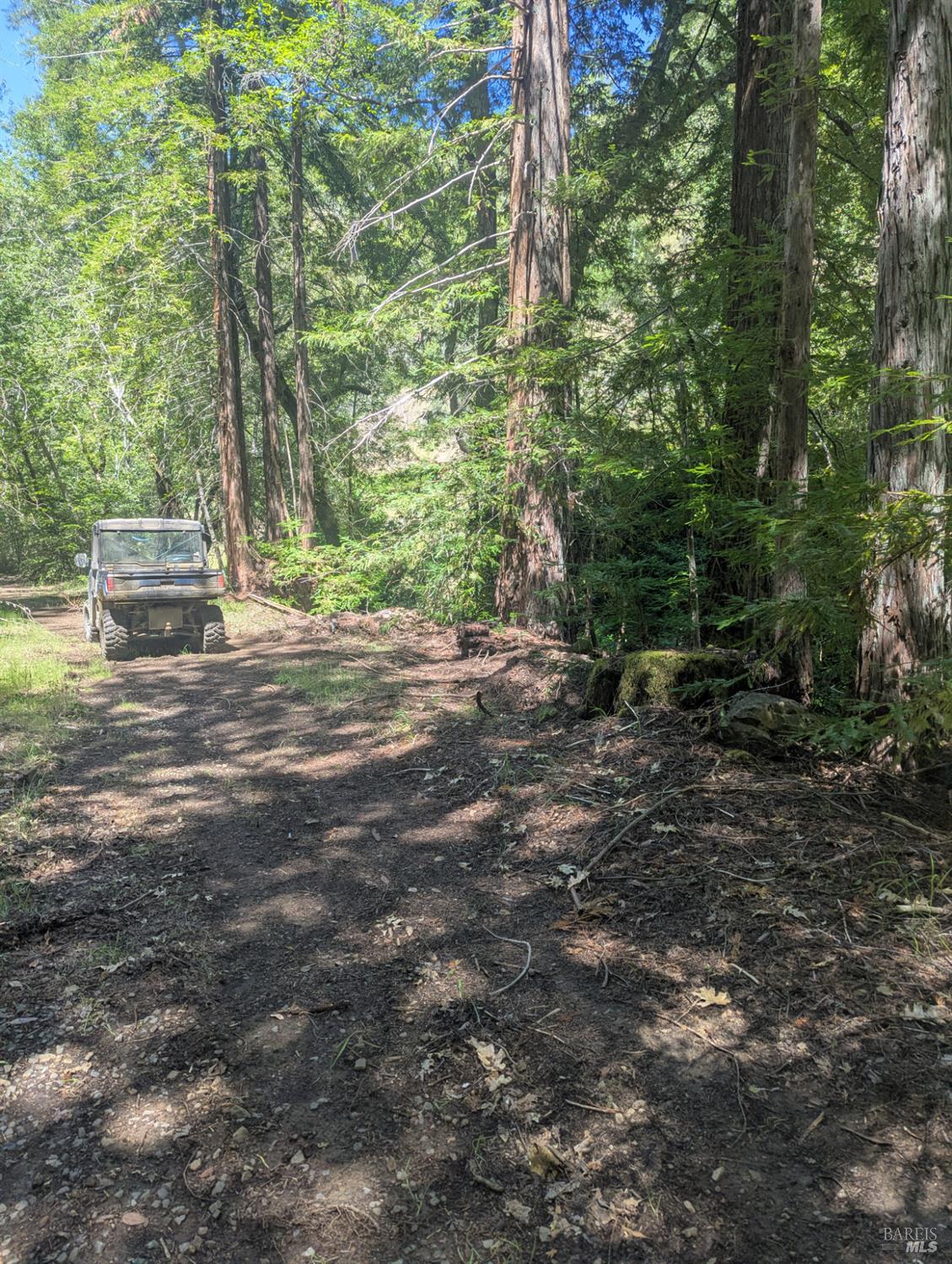 Detail Gallery Image 9 of 21 For 0 Skaggs Springs Rd, Geyserville,  CA 95441 - – Beds | – Baths