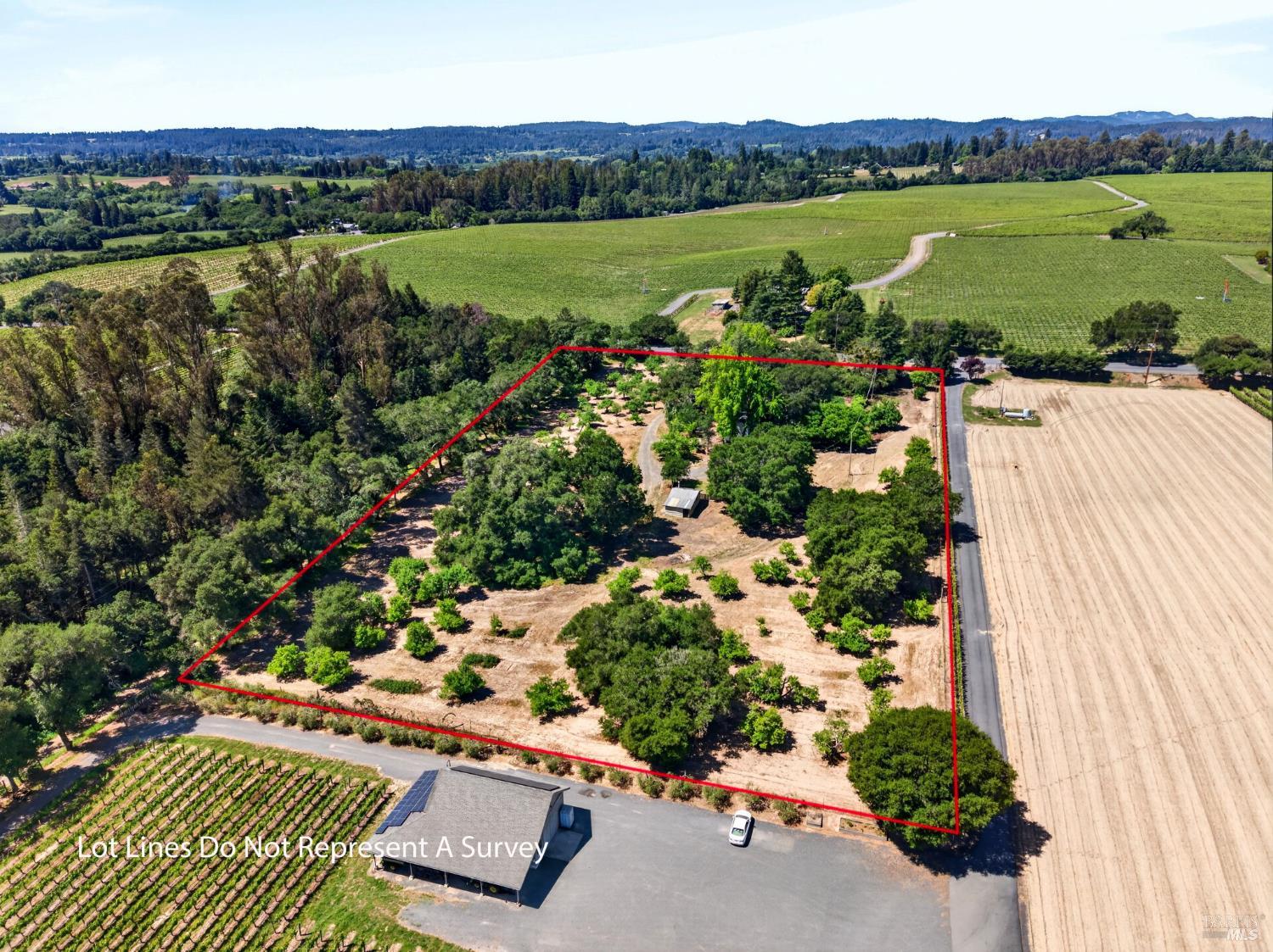 2062 Laguna Road photo 2