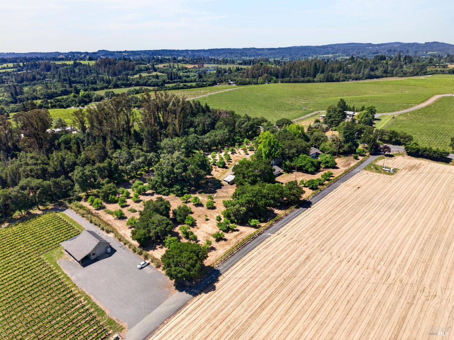 2062 Laguna Road photo 3