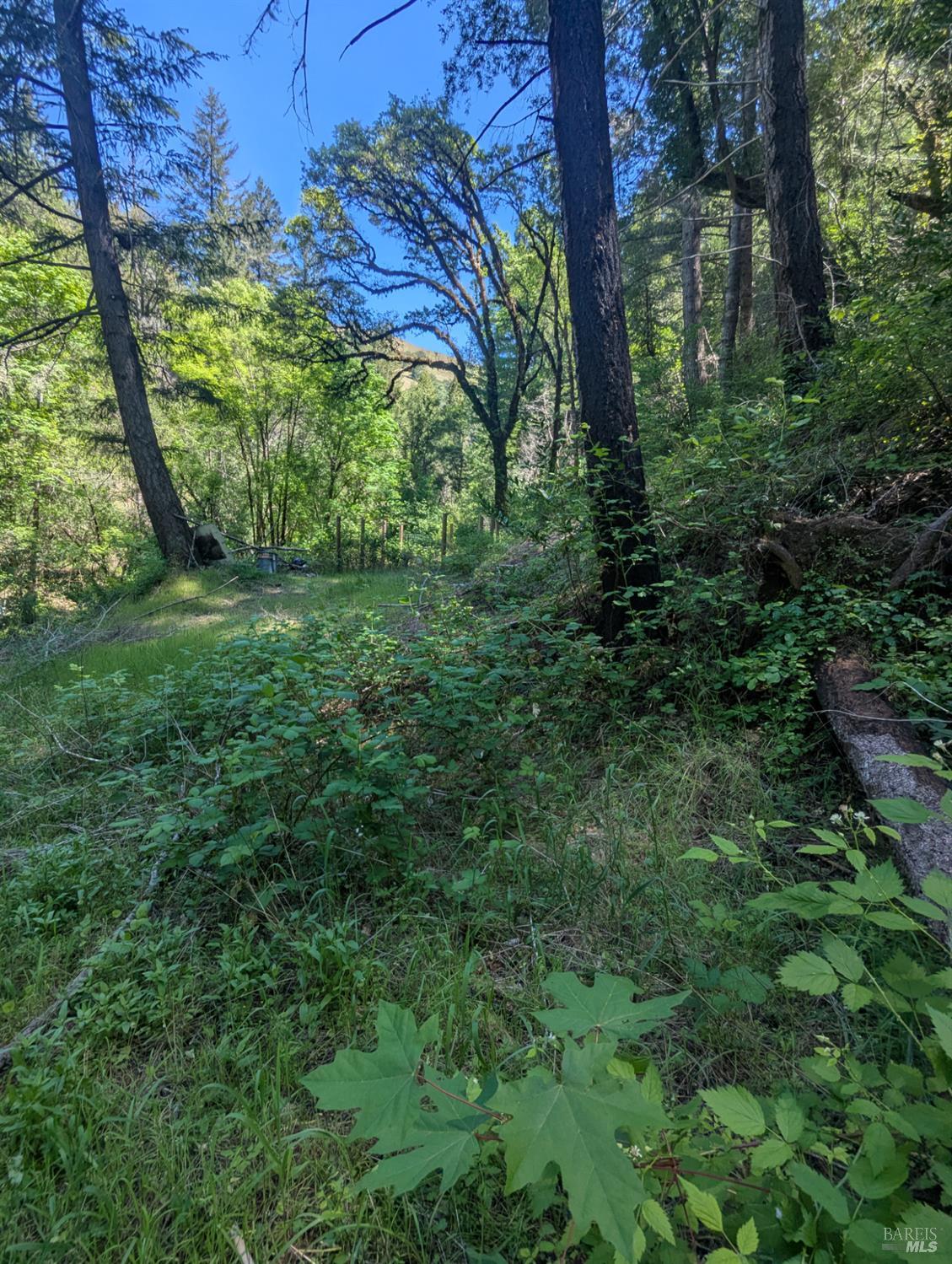 Detail Gallery Image 5 of 21 For 0 Skaggs Springs Rd, Geyserville,  CA 95441 - – Beds | – Baths