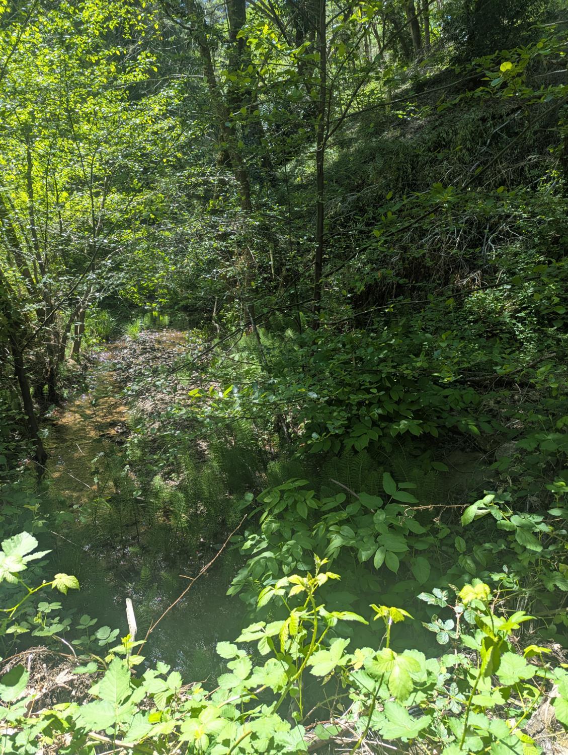 Detail Gallery Image 21 of 21 For 0 Skaggs Springs Rd, Geyserville,  CA 95441 - – Beds | – Baths