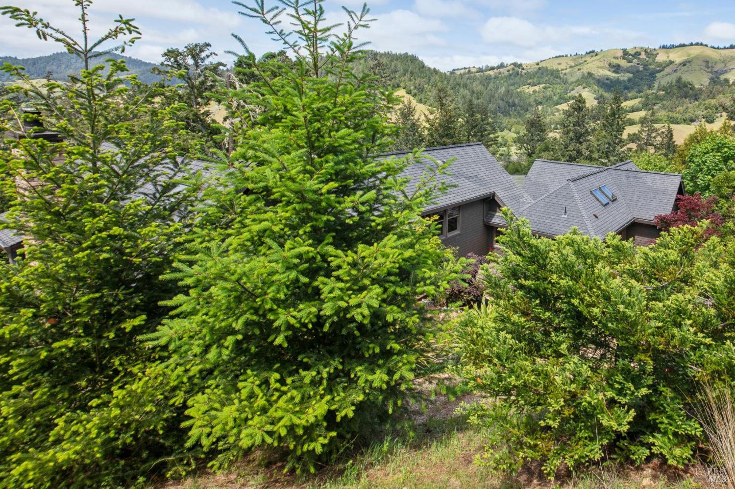 Detail Gallery Image 60 of 80 For 12 Chaparral Ln, San Geronimo,  CA 94963 - 4 Beds | 3/1 Baths