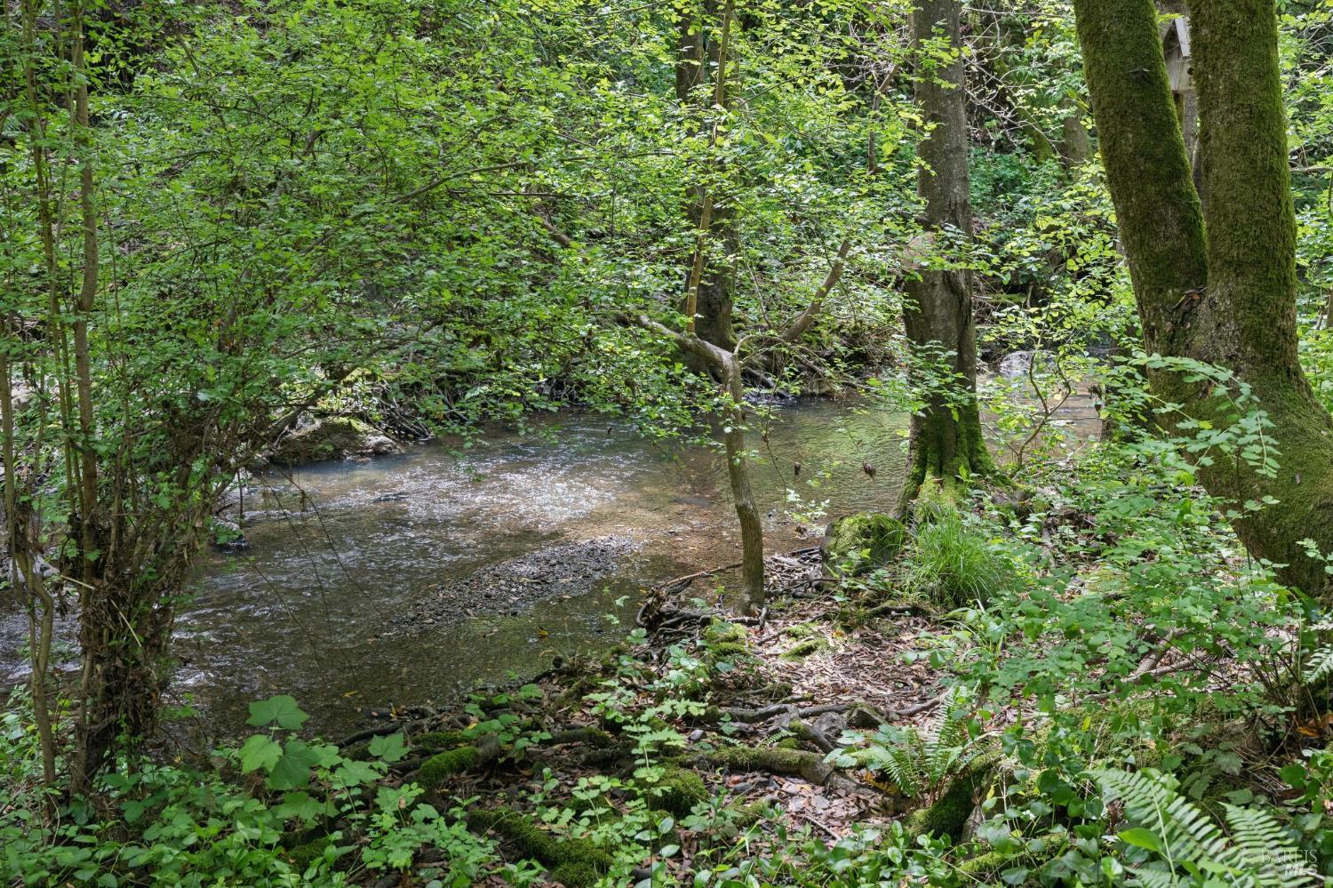 Detail Gallery Image 70 of 89 For 6601 Sir Francis Drake Blvd, Forest Knolls,  CA 94933 - 3 Beds | 2/1 Baths