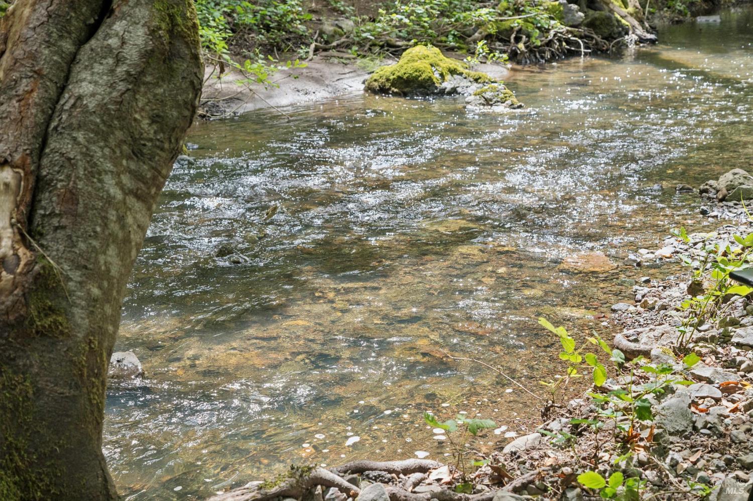 Detail Gallery Image 69 of 89 For 6601 Sir Francis Drake Blvd, Forest Knolls,  CA 94933 - 3 Beds | 2/1 Baths