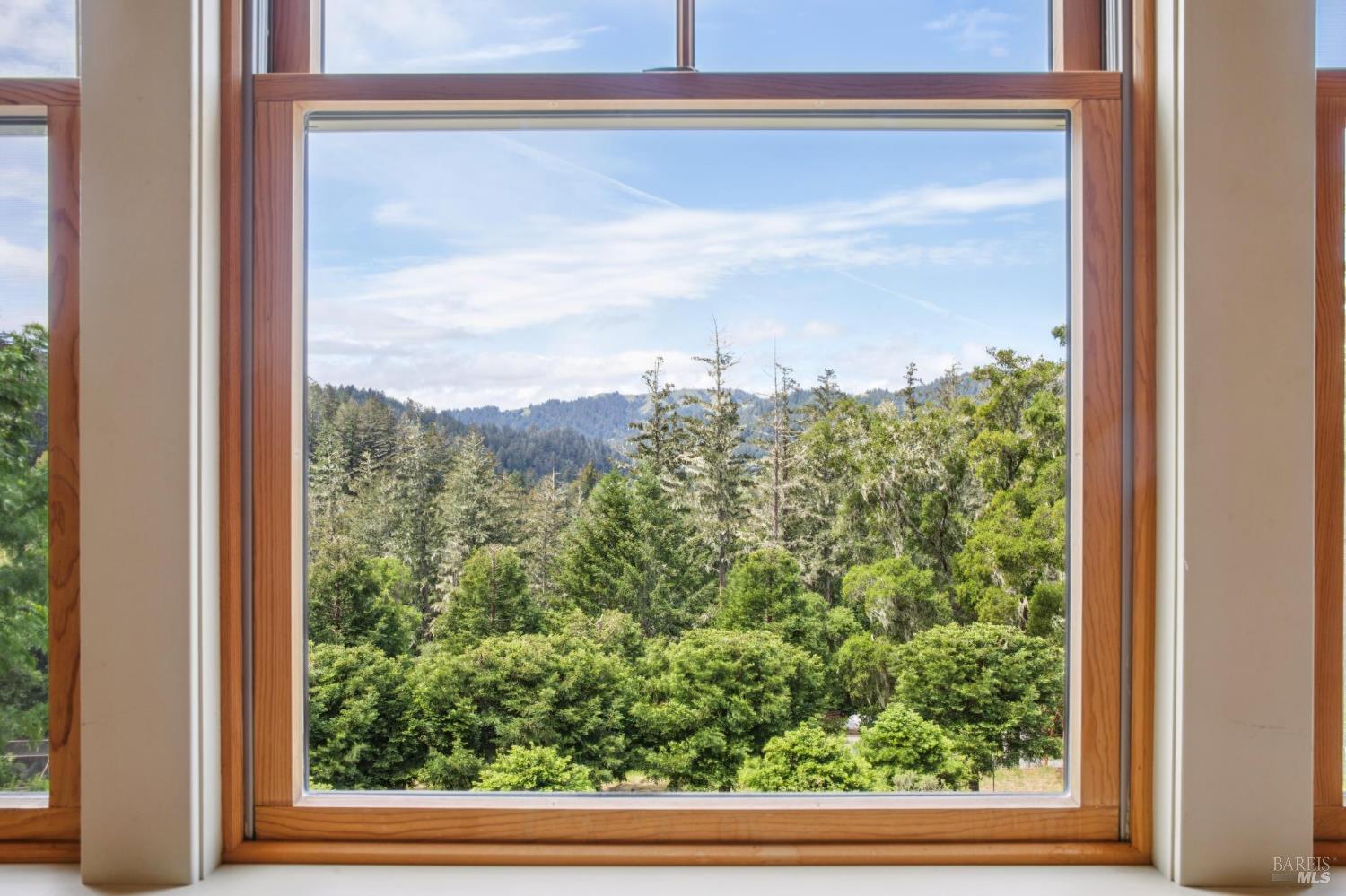 Detail Gallery Image 27 of 80 For 12 Chaparral Ln, San Geronimo,  CA 94963 - 4 Beds | 3/1 Baths