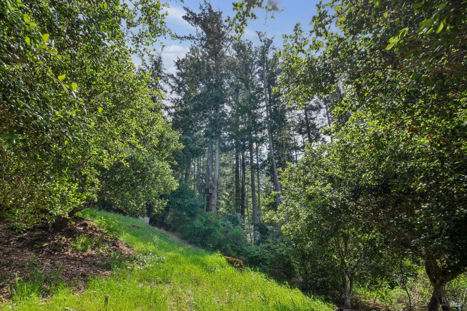 Detail Gallery Image 62 of 80 For 12 Chaparral Ln, San Geronimo,  CA 94963 - 4 Beds | 3/1 Baths