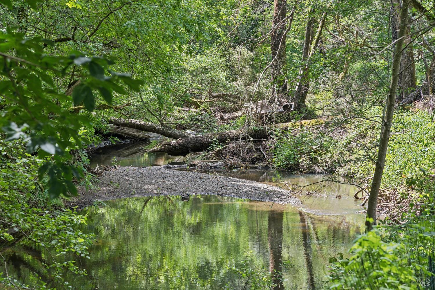 Detail Gallery Image 71 of 89 For 6601 Sir Francis Drake Blvd, Forest Knolls,  CA 94933 - 3 Beds | 2/1 Baths