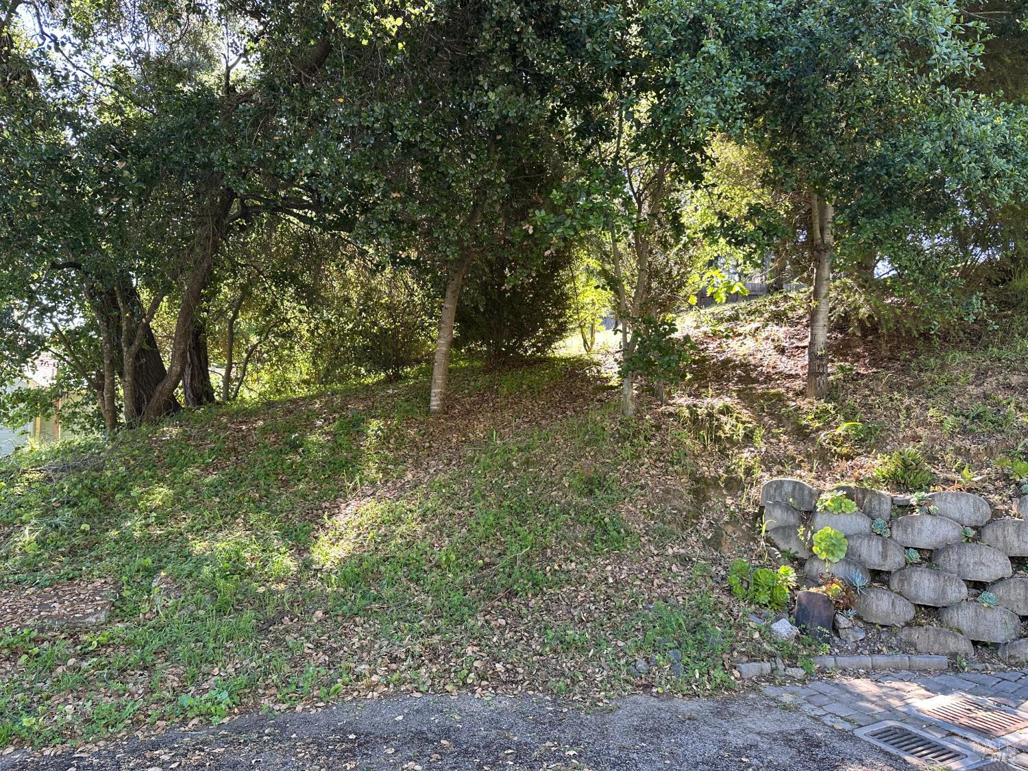 Detail Gallery Image 7 of 14 For 7580 Washington Ave, Sebastopol,  CA 95472 - – Beds | – Baths