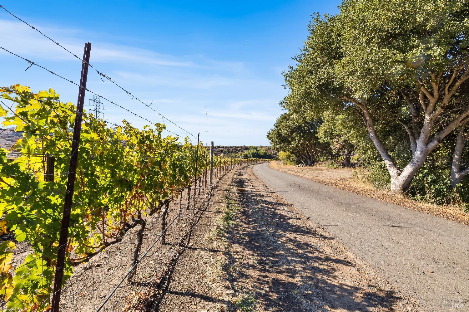 Detail Gallery Image 23 of 27 For 2000 Mcgary Rd, American Canyon,  CA 94591 - 4 Beds | 3 Baths