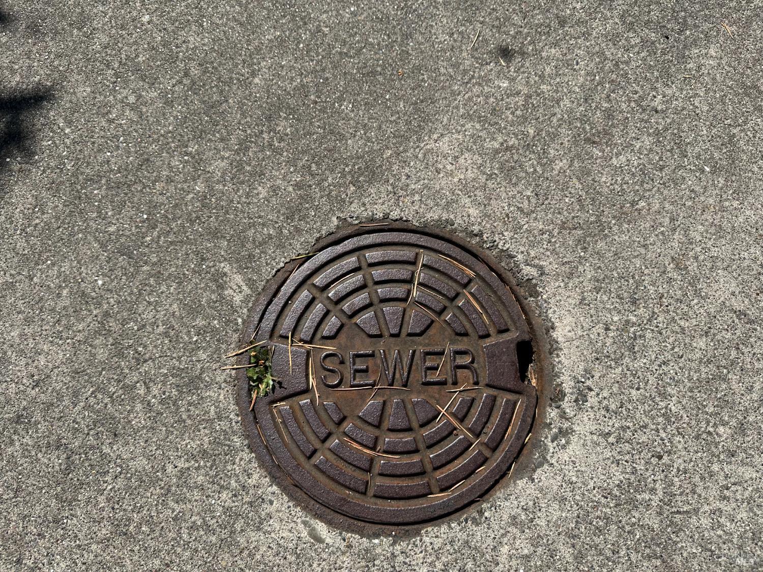 Detail Gallery Image 11 of 14 For 7580 Washington Ave, Sebastopol,  CA 95472 - – Beds | – Baths