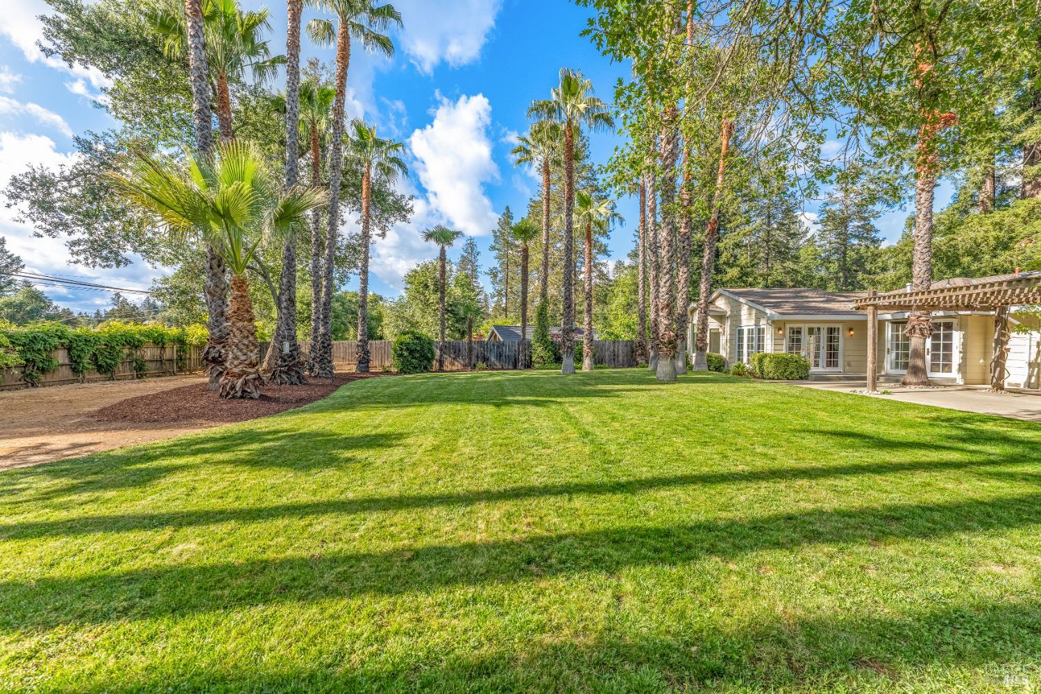 Detail Gallery Image 22 of 41 For 541 Sunset Dr, Angwin,  CA 94508 - 3 Beds | 2/1 Baths