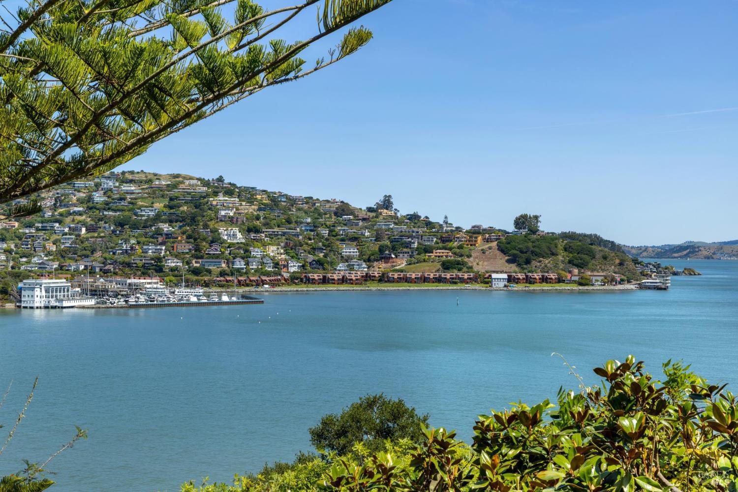 Detail Gallery Image 8 of 77 For 290 Beach Rd, Belvedere,  CA 94920 - 6 Beds | 5 Baths