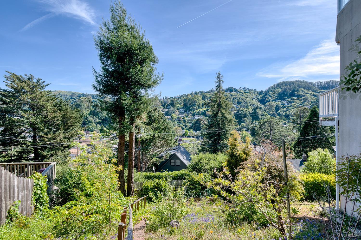 Detail Gallery Image 24 of 32 For 320 Dolan Ave, Mill Valley,  CA 94941 - 4 Beds | 5 Baths