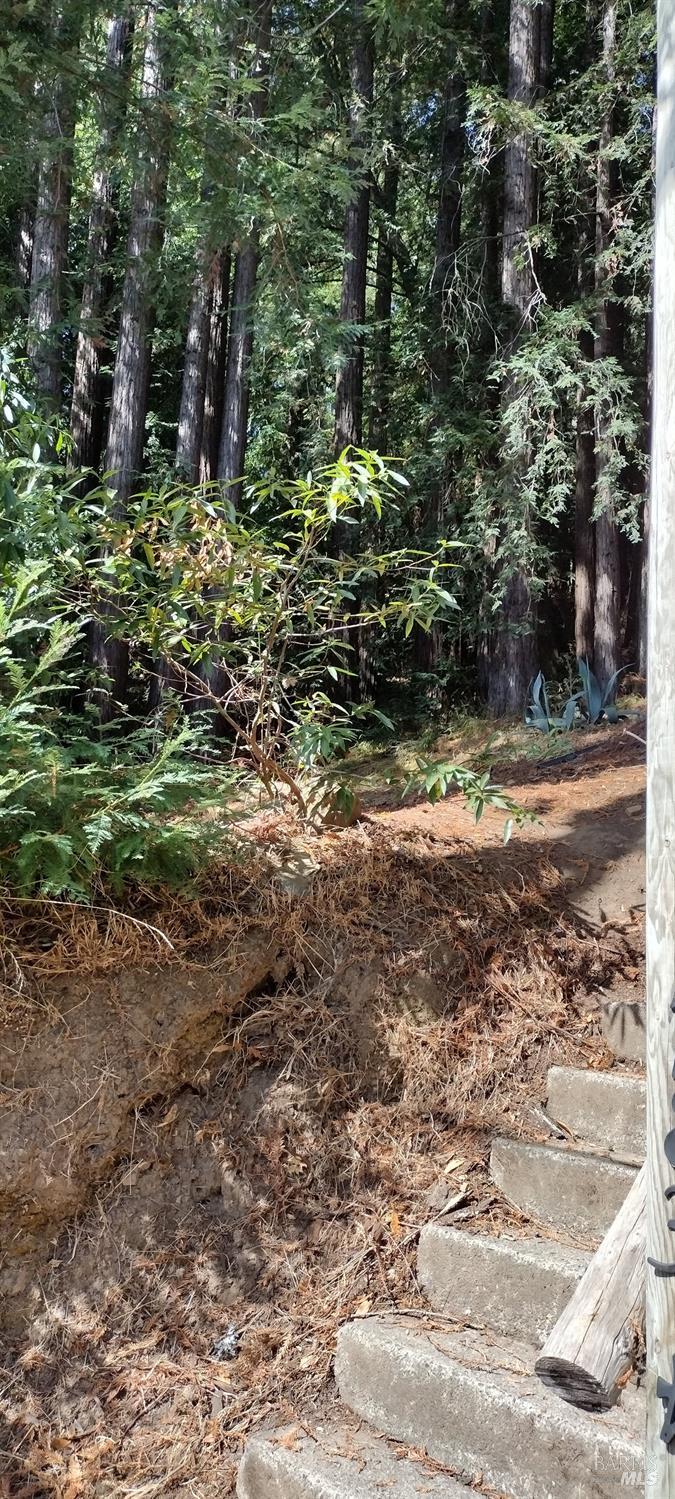 18355 Neeley Road photo 2