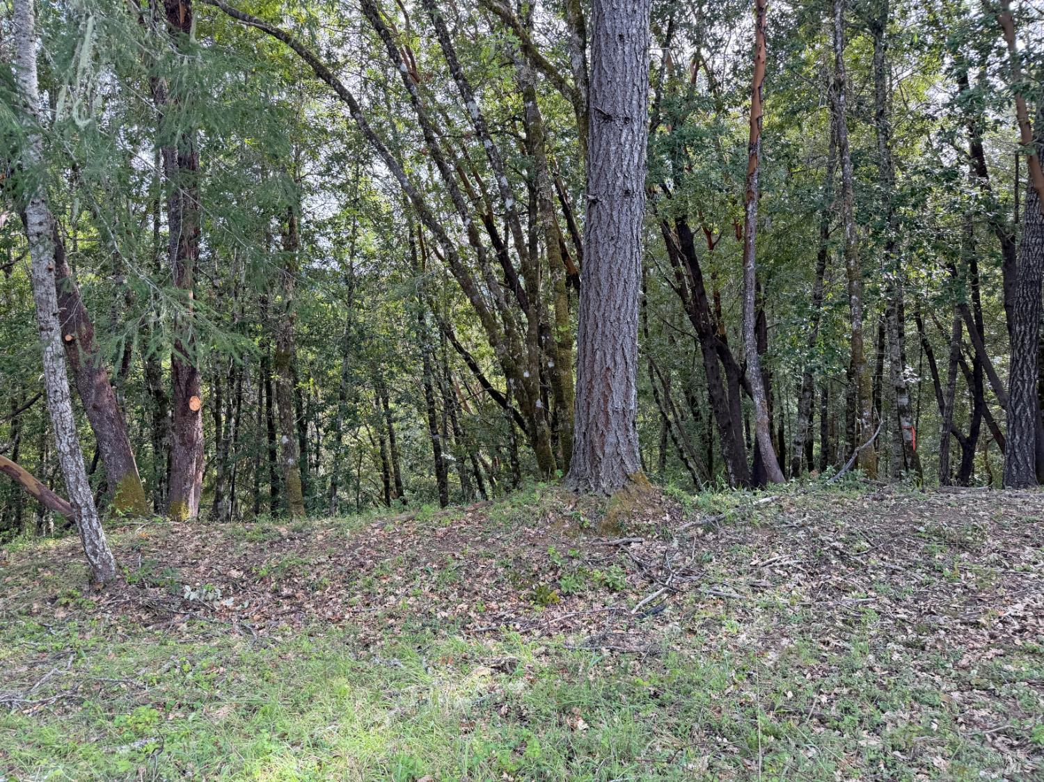 Front Image Thumbnail for BA326035001