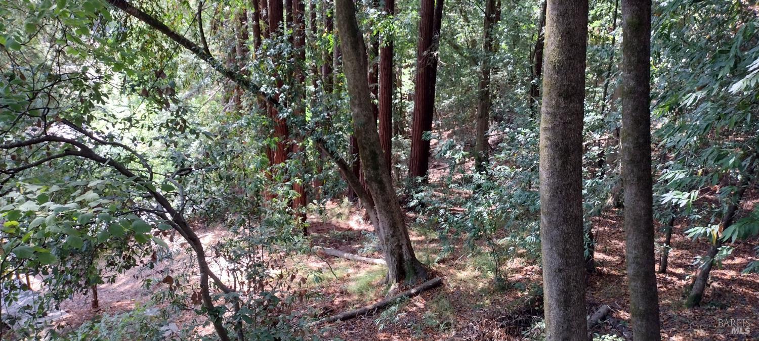 18355 Neeley Road photo 3